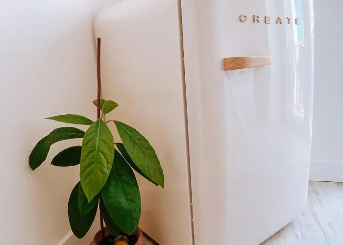 Hotel Captain Cook Ahoy *